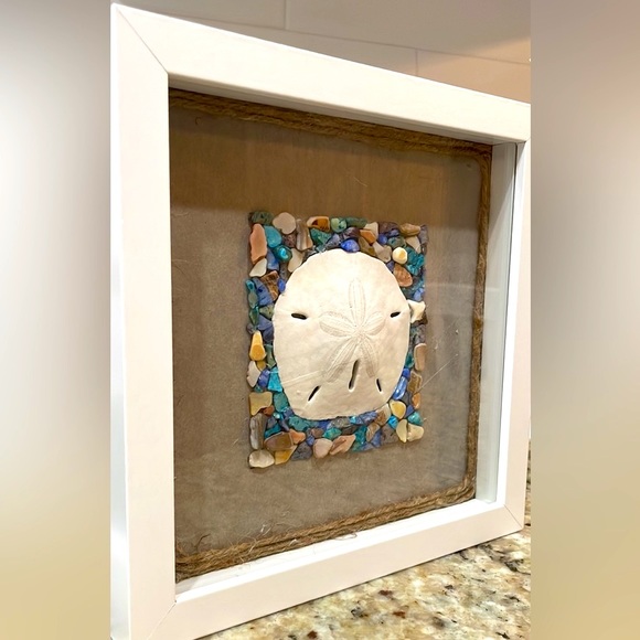 Unique Sand Dollar & Seashell Fragments Shadowbox. - Picture 3 of 4